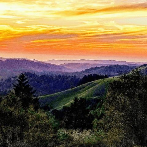 41 Back Road, La Honda, CA 94020