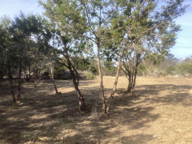 24510 Long Hollow TRL, Leander, TX 78641