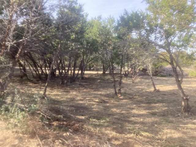 24510 Long Hollow TRL, Leander, TX 78641