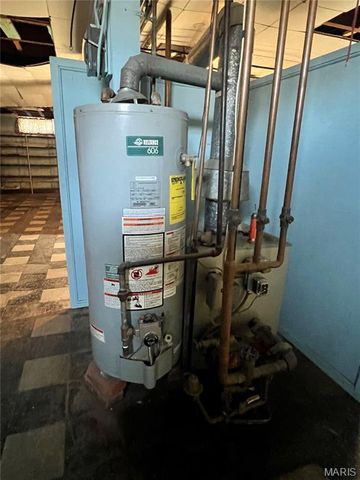 614 E Tyler Avenue, Litchfield, IL 62056