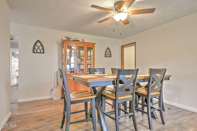 1020 Pigeon Hollow Road, Afton, TN 37616