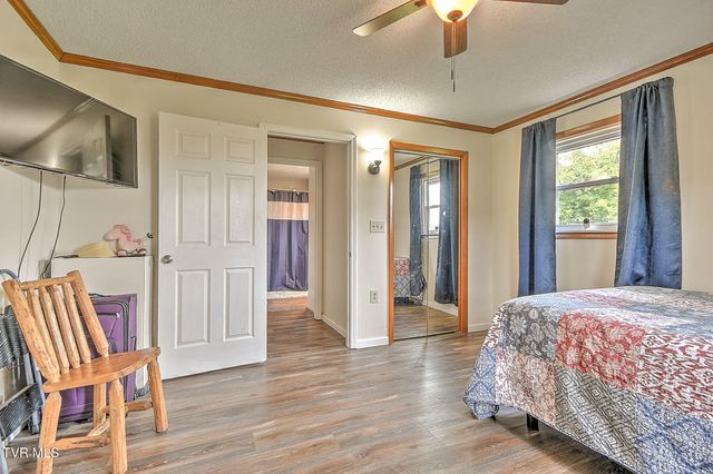 1020 Pigeon Hollow Road, Afton, TN 37616