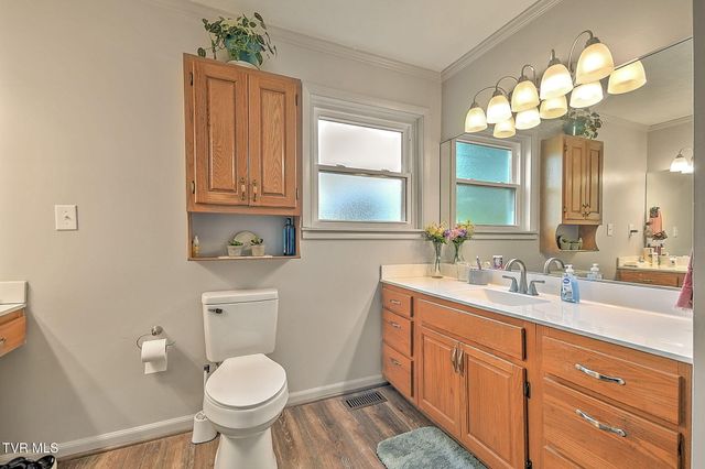 1020 Pigeon Hollow Road, Afton, TN 37616