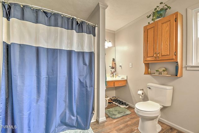1020 Pigeon Hollow Road, Afton, TN 37616