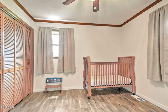 1020 Pigeon Hollow Road, Afton, TN 37616