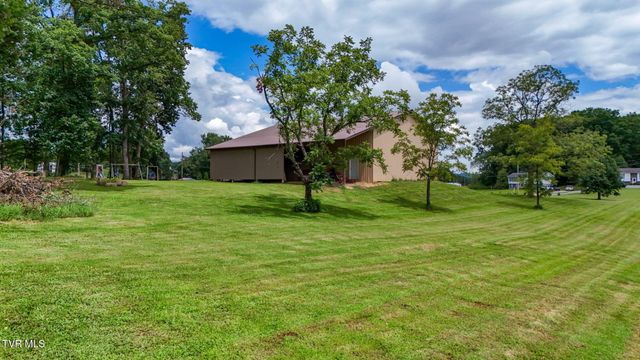 1020 Pigeon Hollow Road, Afton, TN 37616