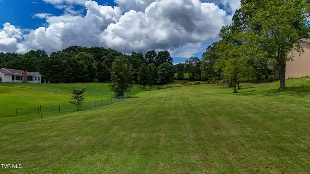 1020 Pigeon Hollow Road, Afton, TN 37616