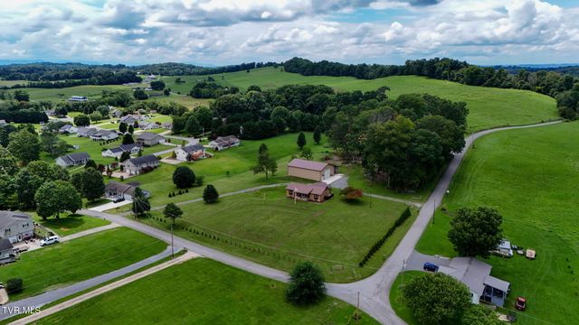 1020 Pigeon Hollow Road, Afton, TN 37616