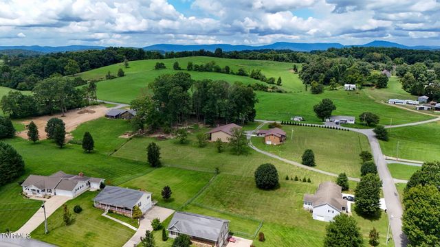 1020 Pigeon Hollow Road, Afton, TN 37616