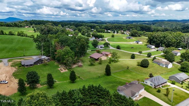 1020 Pigeon Hollow Road, Afton, TN 37616