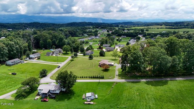 1020 Pigeon Hollow Road, Afton, TN 37616