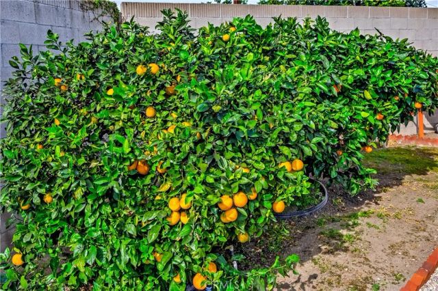 3080 W Glen Holly Drive, Anaheim, CA 92804