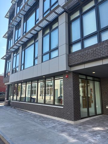 14 Green 101, Brookline, MA 02446