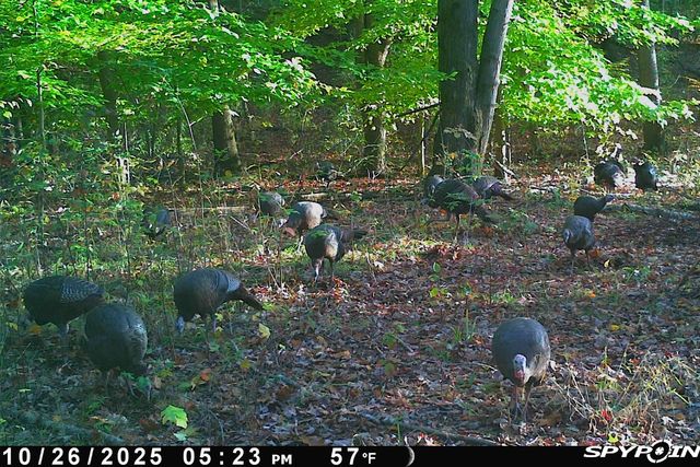 5860 S 36th Street, Climax, MI 49034