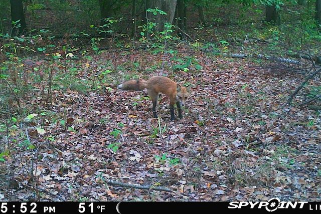 5860 S 36th Street, Climax, MI 49034