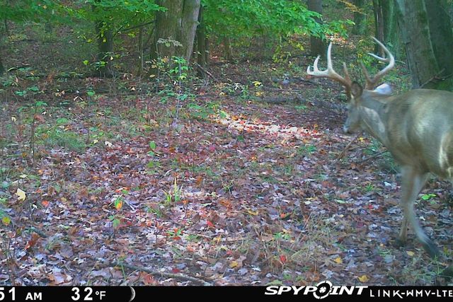 5860 S 36th Street, Climax, MI 49034