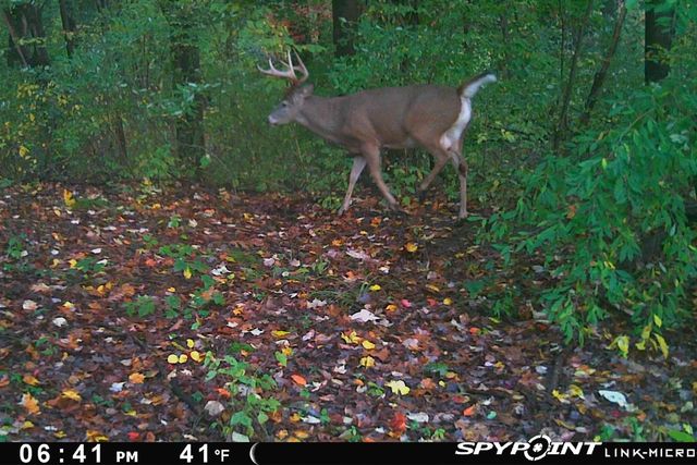 5860 S 36th Street, Climax, MI 49034