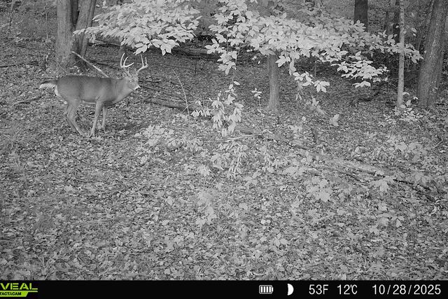 5860 S 36th Street, Climax, MI 49034