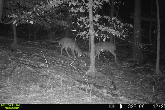 5860 S 36th Street, Climax, MI 49034