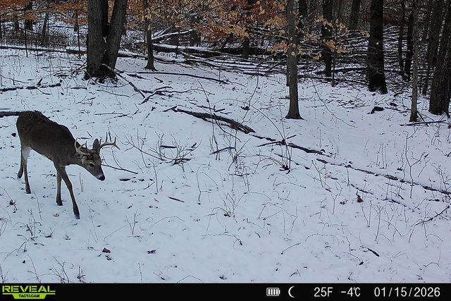 5860 S 36th Street, Climax, MI 49034