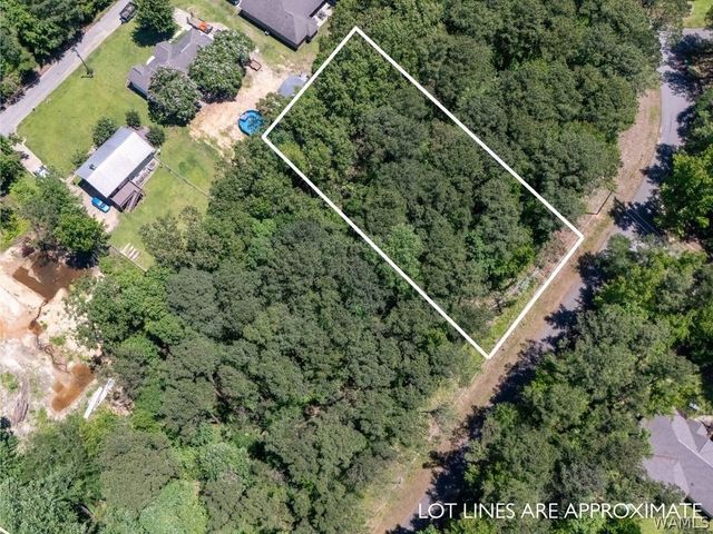 Lot 19 GRANDVIEW, Northport, AL 35475