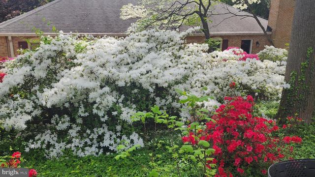 9803 HILL ST, Kensington, MD 20895