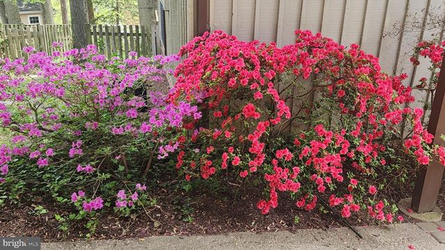 9803 HILL ST, Kensington, MD 20895