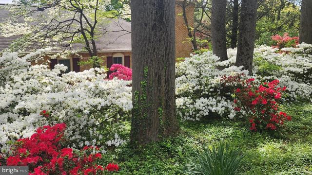 9803 HILL ST, Kensington, MD 20895