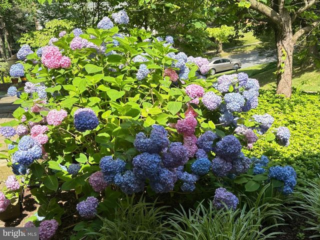 9803 HILL ST, Kensington, MD 20895