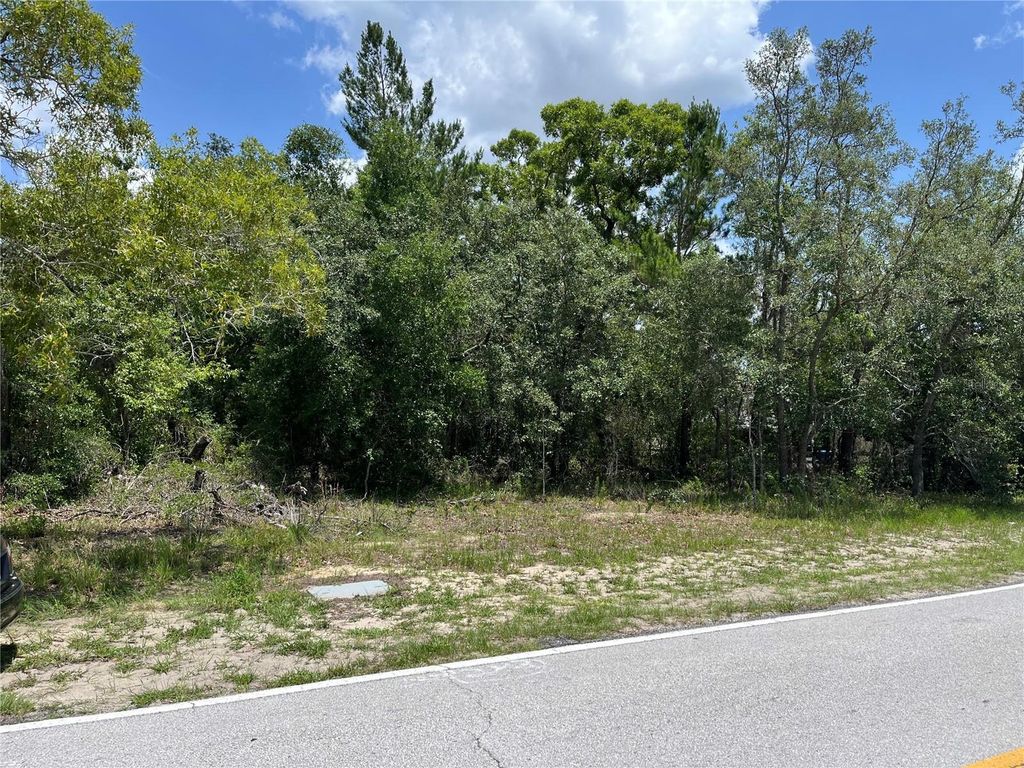PINEHURST DRIVE, Spring Hill, FL 34606