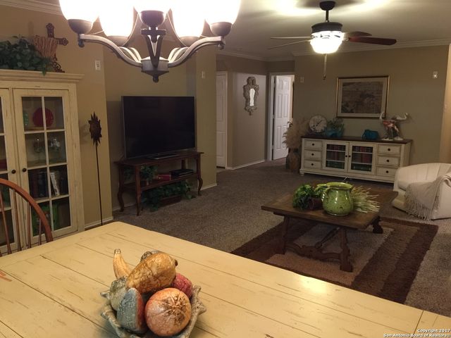 7323 Carriage Bend, San Antonio, TX 78249