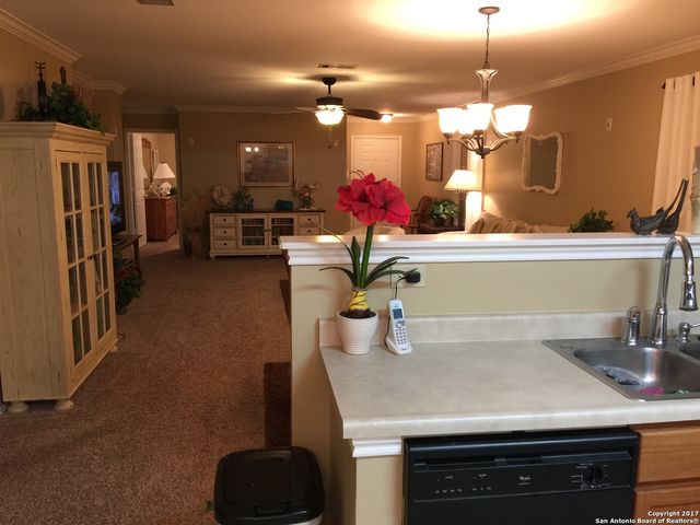 7323 Carriage Bend, San Antonio, TX 78249