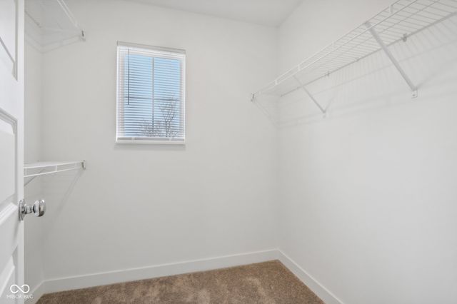 1704 Trinity Lane, Westfield, IN 46074