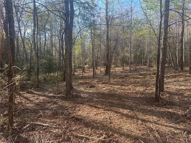 00 Lee Mashburn Road, Dahlonega, GA 30533