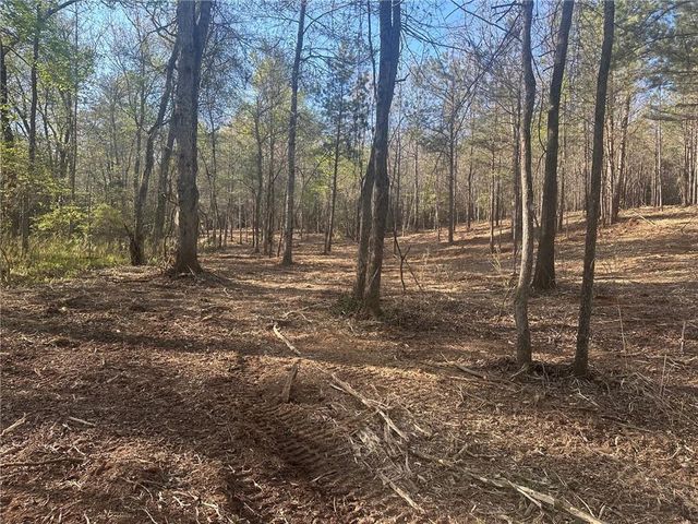 00 Lee Mashburn Road, Dahlonega, GA 30533
