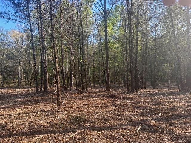 00 Lee Mashburn Road, Dahlonega, GA 30533