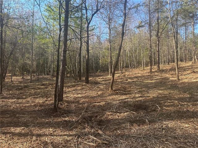 00 Lee Mashburn Road, Dahlonega, GA 30533