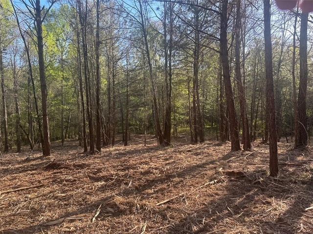 00 Lee Mashburn Road, Dahlonega, GA 30533