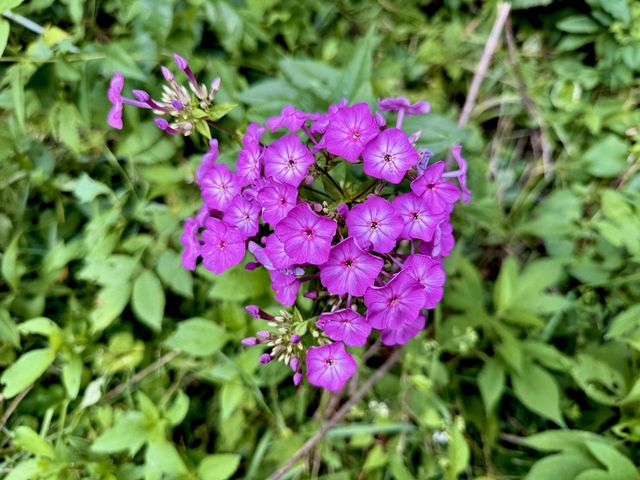 E590 Mundsack ROAD, Genoa, WI 54632