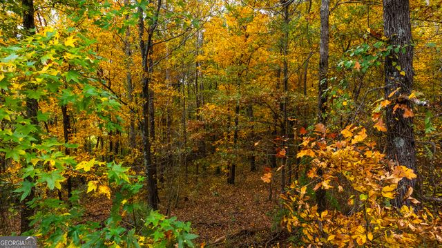 84 Cline Smith Road, Cartersville, GA 30121