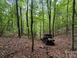 7777 Saw Branch Road, Candler, NC 28715