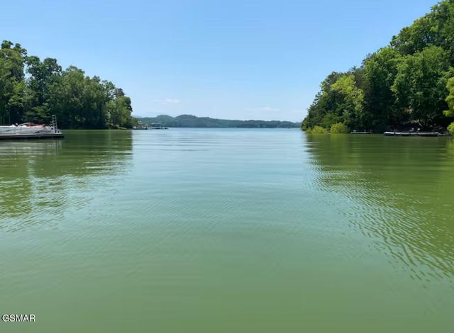 1448 Dover Lane, Dandridge, TN 37725