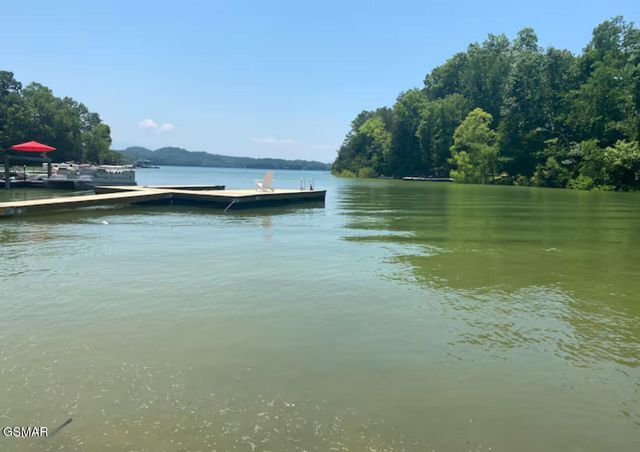 1448 Dover Lane, Dandridge, TN 37725