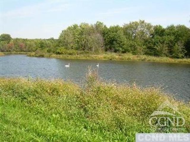 0 County Route 19, Livingston, NY 12541