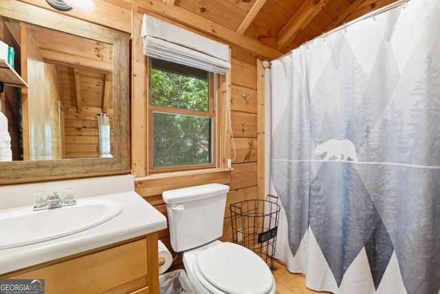37 Dean Court, Blue Ridge, GA 30513