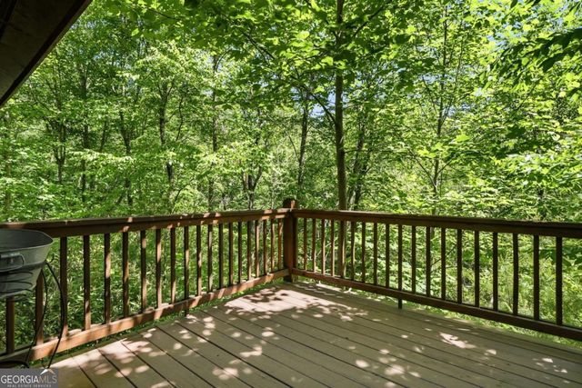37 Dean Court, Blue Ridge, GA 30513