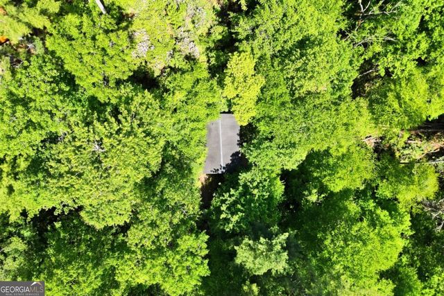 37 Dean Court, Blue Ridge, GA 30513