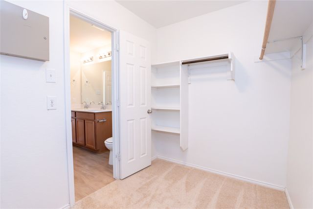 3116 Montserrat Creek Drive, Little Elm, TX 75068