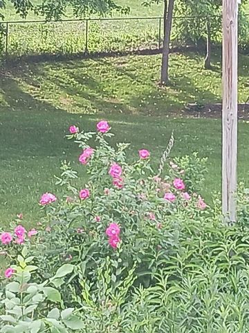 14748 Limonite Street NW, Ramsey, MN 55303