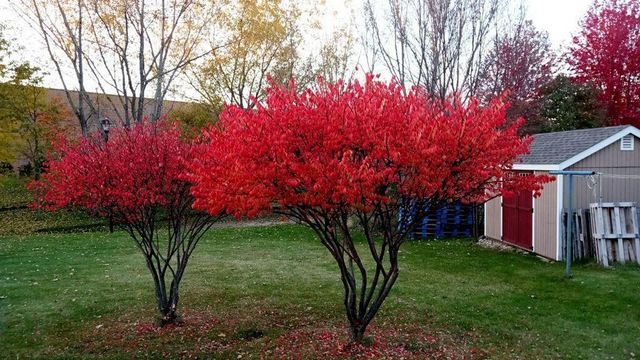 14748 Limonite Street NW, Ramsey, MN 55303